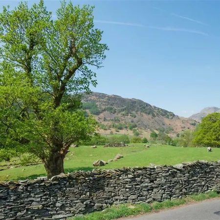 Holiday Chapel Tree Chapel Stile